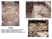 Cronica Cercetărilor Arheologice din România, Campania 2003. Raportul nr. 31, Băneşti, Dealul Domnii<br /><a href='http://foto.cimec.ro/cronica/2003/031/banesti-pl-2.jpg' target=_blank>Priveşte aceeaşi imagine într-o fereastră nouă</a>