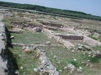 Cronica Cercetărilor Arheologice din România, Campania 2003. Raportul nr. 44
