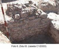 Chronicle of the Archaeological Excavations in Romania, 2003 Campaign. Report no. 58, Corabia, Sucidava - Celei<br /><a href='http://foto.cimec.ro/cronica/2003/058/Corabia-Sucidava-6.jpg' target=_blank>Display the same picture in a new window</a>