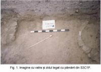 Cronica Cercetărilor Arheologice din România, Campania 2003. Raportul nr. 76