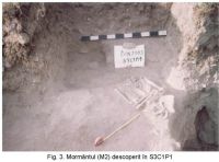 Cronica Cercetărilor Arheologice din România, Campania 2003. Raportul nr. 76