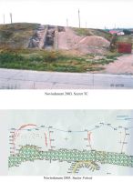 Cronica Cercetărilor Arheologice din România, Campania 2003. Raportul nr. 91