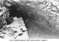 Chronicle of the Archaeological Excavations in Romania, 2003 Campaign. Report no. 97, Jurilovca, Capul Dolojman.<br /> Sector sectorICEM.<br /><a href='http://foto.cimec.ro/cronica/2003/097/sectorICEM/jurilovca-argamum-cas-3-sector-icem.JPG' target=_blank>Display the same picture in a new window</a>