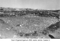 Chronicle of the Archaeological Excavations in Romania, 2003 Campaign. Report no. 97, Jurilovca, Capul Dolojman.<br /> Sector sectorICEM.<br /><a href='http://foto.cimec.ro/cronica/2003/097/sectorICEM/jurilovca-argamum-cas-4-sector-icem.JPG' target=_blank>Display the same picture in a new window</a>. Title: sectorICEM