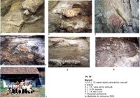 Cronica Cercetărilor Arheologice din România, Campania 2003. Raportul nr. 122