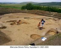 Chronicle of the Archaeological Excavations in Romania, 2003 Campaign. Report no. 124, Miercurea Sibiului, Petriş<br /><a href='http://foto.cimec.ro/cronica/2003/124/miercurea-sibiului-petris-1.jpg' target=_blank>Display the same picture in a new window</a>