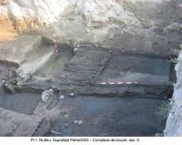 Cronica Cercetărilor Arheologice din România, Campania 2003. Raportul nr. 131