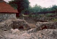 Cronica Cercetărilor Arheologice din România, Campania 2003. Raportul nr. 142