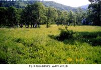 Cronica Cercetărilor Arheologice din România, Campania 2003. Raportul nr. 161.<br /> Sectorul MNUAI.