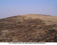 Chronicle of the Archaeological Excavations in Romania, 2003 Campaign. Report no. 187, Şeuşa, Gorgan<br /><a href='http://foto.cimec.ro/cronica/2003/187/Seusa-Gorgan-02.jpg' target=_blank>Display the same picture in a new window</a>