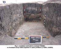 Chronicle of the Archaeological Excavations in Romania, 2003 Campaign. Report no. 187, Şeuşa, Gorgan<br /><a href='http://foto.cimec.ro/cronica/2003/187/Seusa-Gorgan-04.JPG' target=_blank>Display the same picture in a new window</a>