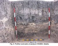 Chronicle of the Archaeological Excavations in Romania, 2003 Campaign. Report no. 187, Şeuşa, Gorgan<br /><a href='http://foto.cimec.ro/cronica/2003/187/Seusa-Gorgan-05.JPG' target=_blank>Display the same picture in a new window</a>
