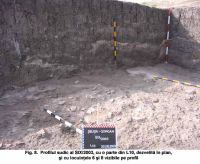 Chronicle of the Archaeological Excavations in Romania, 2003 Campaign. Report no. 187, Şeuşa, Gorgan<br /><a href='http://foto.cimec.ro/cronica/2003/187/Seusa-Gorgan-08.JPG' target=_blank>Display the same picture in a new window</a>