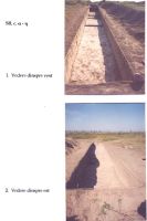 Chronicle of the Archaeological Excavations in Romania, 2003 Campaign. Report no. 211, Vlădeni, Popina Blagodeasca.<br /> Sector Figuri-raport.<br /><a href='http://foto.cimec.ro/cronica/2003/211/vladeni-popina-blagodeasca-pl-x.jpg' target=_blank>Display the same picture in a new window</a>