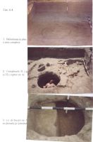 Chronicle of the Archaeological Excavations in Romania, 2003 Campaign. Report no. 211, Vlădeni, Popina Blagodeasca.<br /> Sector Figuri-raport.<br /><a href='http://foto.cimec.ro/cronica/2003/211/vladeni-popina-blagodeasca-pl-xi.jpg' target=_blank>Display the same picture in a new window</a>