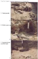 Chronicle of the Archaeological Excavations in Romania, 2003 Campaign. Report no. 211, Vlădeni, Popina Blagodeasca.<br /> Sector Figuri-raport.<br /><a href='http://foto.cimec.ro/cronica/2003/211/vladeni-popina-blagodeasca-pl-xiv.jpg' target=_blank>Display the same picture in a new window</a>