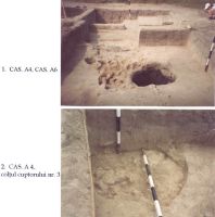 Chronicle of the Archaeological Excavations in Romania, 2003 Campaign. Report no. 211, Vlădeni, Popina Blagodeasca.<br /> Sector Figuri-raport.<br /><a href='http://foto.cimec.ro/cronica/2003/211/vladeni-popina-blagodeasca-pl-xv.jpg' target=_blank>Display the same picture in a new window</a>