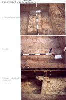 Chronicle of the Archaeological Excavations in Romania, 2003 Campaign. Report no. 211, Vlădeni, Popina Blagodeasca.<br /> Sector Figuri-raport.<br /><a href='http://foto.cimec.ro/cronica/2003/211/vladeni-popina-blagodeasca-pl-xx.jpg' target=_blank>Display the same picture in a new window</a>