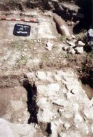 Chronicle of the Archaeological Excavations in Romania, 2004 Campaign. Report no. 1, Adamclisi, Cetate.<br /> Sector tumul.<br /><a href='http://foto.cimec.ro/cronica/2004/001/rsz-10.jpg' target=_blank>Display the same picture in a new window</a>