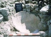 Chronicle of the Archaeological Excavations in Romania, 2004 Campaign. Report no. 1, Adamclisi, Cetate.<br /> Sector tumul.<br /><a href='http://foto.cimec.ro/cronica/2004/001/rsz-28.jpg' target=_blank>Display the same picture in a new window</a>