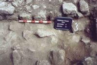 Chronicle of the Archaeological Excavations in Romania, 2004 Campaign. Report no. 1, Adamclisi, Cetate.<br /> Sector tumul.<br /><a href='http://foto.cimec.ro/cronica/2004/001/rsz-30.jpg' target=_blank>Display the same picture in a new window</a>
