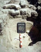 Chronicle of the Archaeological Excavations in Romania, 2004 Campaign. Report no. 1, Adamclisi, Cetate<br /><a href='http://foto.cimec.ro/cronica/2004/001/rsz-31.jpg' target=_blank>Display the same picture in a new window</a>