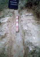 Chronicle of the Archaeological Excavations in Romania, 2004 Campaign. Report no. 1, Adamclisi, Cetate.<br /> Sector tumul.<br /><a href='http://foto.cimec.ro/cronica/2004/001/rsz-44.jpg' target=_blank>Display the same picture in a new window</a>