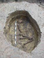 Chronicle of the Archaeological Excavations in Romania, 2004 Campaign. Report no. 2, Adâncata, Dealul Lipovanului<br /><a href='http://foto.cimec.ro/cronica/2004/002/rsz-0.jpg' target=_blank>Display the same picture in a new window</a>