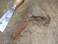 Cronica Cercetărilor Arheologice din România, Campania 2004. Raportul nr. 37