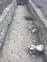 Cronica Cercetărilor Arheologice din România, Campania 2004. Raportul nr. 64