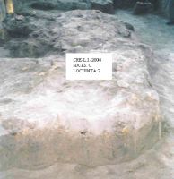 Cronica Cercetărilor Arheologice din România, Campania 2004. Raportul nr. 84