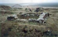 Cronica Cercetărilor Arheologice din România, Campania 2004. Raportul nr. 102, Garvăn, Bisericuţa (Bisericuţa)<br /><a href='http://foto.cimec.ro/cronica/2004/102/rsz-0.jpg' target=_blank>Priveşte aceeaşi imagine într-o fereastră nouă</a>