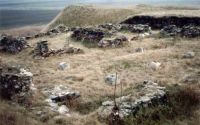 Cronica Cercetărilor Arheologice din România, Campania 2004. Raportul nr. 102, Garvăn, Bisericuţa (Bisericuţa)<br /><a href='http://foto.cimec.ro/cronica/2004/102/rsz-1.jpg' target=_blank>Priveşte aceeaşi imagine într-o fereastră nouă</a>