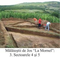 Chronicle of the Archaeological Excavations in Romania, 2004 Campaign. Report no. 147, Mălăeştii De Jos, La Mornel<br /><a href='http://foto.cimec.ro/cronica/2004/147/rsz-2.jpg' target=_blank>Display the same picture in a new window</a>