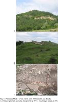 Chronicle of the Archaeological Excavations in Romania, 2004 Campaign. Report no. 171, Pietroasa Mică, Gruiu Dării<br /><a href='http://foto.cimec.ro/cronica/2004/171/rsz-0.jpg' target=_blank>Display the same picture in a new window</a>