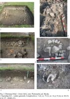 Chronicle of the Archaeological Excavations in Romania, 2004 Campaign. Report no. 171, Pietroasa Mică, Gruiu Dării<br /><a href='http://foto.cimec.ro/cronica/2004/171/rsz-1.jpg' target=_blank>Display the same picture in a new window</a>