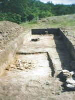Cronica Cercetărilor Arheologice din România, Campania 2004. Raportul nr. 183
