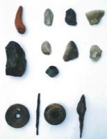 Cronica Cercetărilor Arheologice din România, Campania 2004. Raportul nr. 183