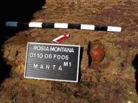 Cronica Cercetărilor Arheologice din România, Campania 2004. Raportul nr. 189