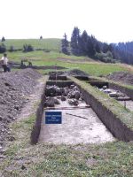 Cronica Cercetărilor Arheologice din România, Campania 2004. Raportul nr. 189
