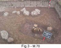 Cronica Cercetărilor Arheologice din România, Campania 2004. Raportul nr. 189
