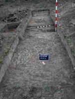 Cronica Cercetărilor Arheologice din România, Campania 2004. Raportul nr. 189