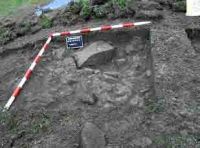Cronica Cercetărilor Arheologice din România, Campania 2004. Raportul nr. 189