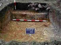 Cronica Cercetărilor Arheologice din România, Campania 2004. Raportul nr. 189