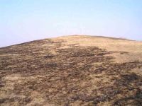 Chronicle of the Archaeological Excavations in Romania, 2004 Campaign. Report no. 215, Şeuşa, Gorgan<br /><a href='http://foto.cimec.ro/cronica/2004/215/rsz-1.jpg' target=_blank>Display the same picture in a new window</a>
