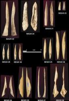 Chronicle of the Archaeological Excavations in Romania, 2004 Campaign. Report no. 215, Şeuşa, Gorgan<br /><a href='http://foto.cimec.ro/cronica/2004/215/rsz-15.jpg' target=_blank>Display the same picture in a new window</a>