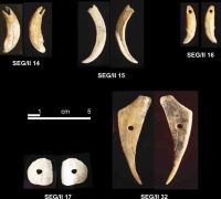 Chronicle of the Archaeological Excavations in Romania, 2004 Campaign. Report no. 215, Şeuşa, Gorgan<br /><a href='http://foto.cimec.ro/cronica/2004/215/rsz-19.jpg' target=_blank>Display the same picture in a new window</a>