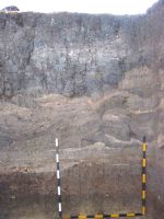 Chronicle of the Archaeological Excavations in Romania, 2004 Campaign. Report no. 215, Şeuşa, Gorgan<br /><a href='http://foto.cimec.ro/cronica/2004/215/rsz-3.jpg' target=_blank>Display the same picture in a new window</a>