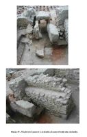 Cronica Cercetărilor Arheologice din România, Campania 2004. Raportul nr. 229