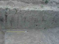 Cronica Cercetărilor Arheologice din România, Campania 2004. Raportul nr. 238, Vaslui<br /><a href='http://foto.cimec.ro/cronica/2004/238/rsz-12.jpg' target=_blank>Priveşte aceeaşi imagine într-o fereastră nouă</a>